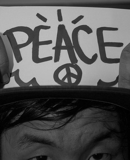 THE PEACE PIC PROJECT